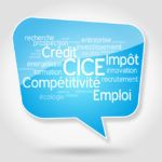 CICE - premier bilan sur le crédit d'impôt pour la compétitivité et l’emploi