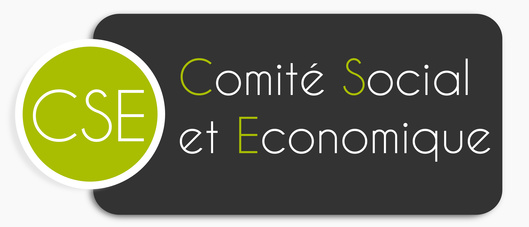 Guide CSE (Comité social économique)