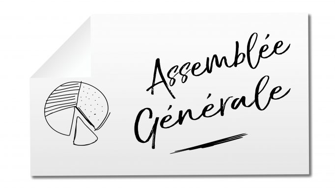 Assemblées générales de SARL : les règles concernant la convocation à l’AGO