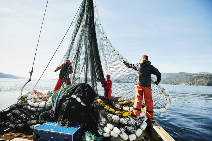 Aide aux pêcheurs, mode d'emploi