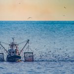 L’aide aux entreprises de pêche est réactivée